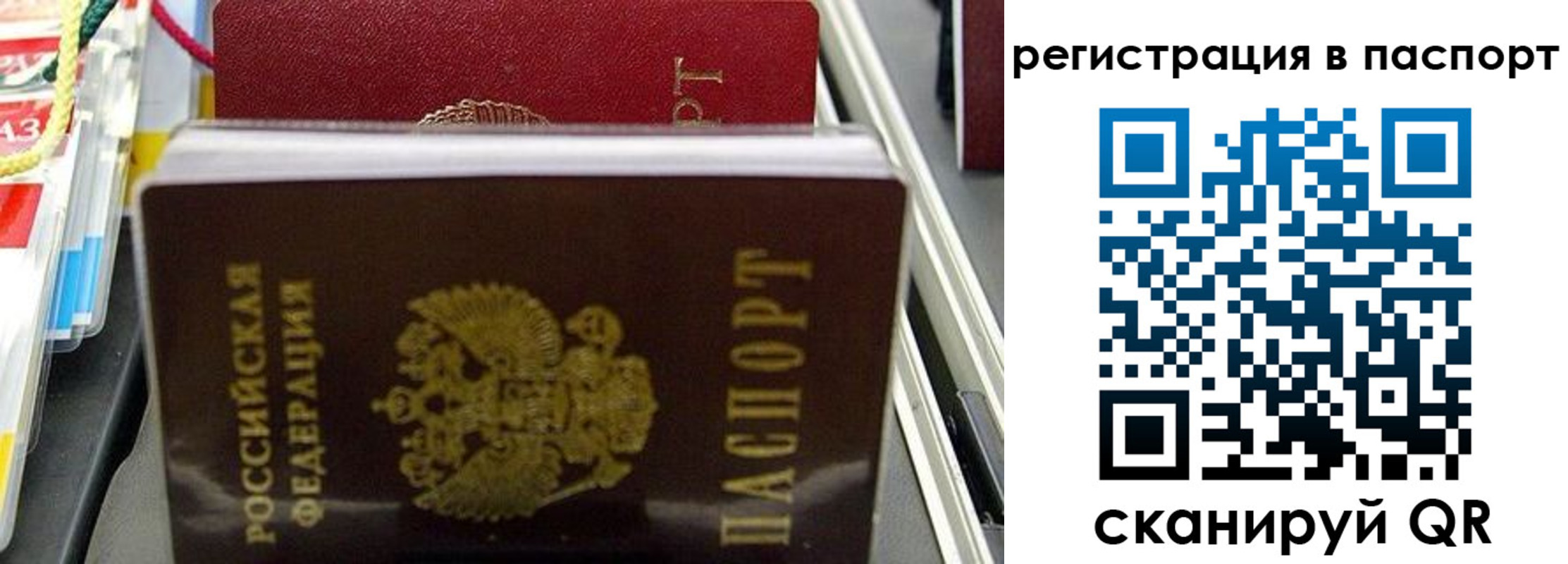 прописка для школы в Ставропольском крае